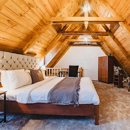 Albert Residence Brasov With Complimentary Parking Off Site-3