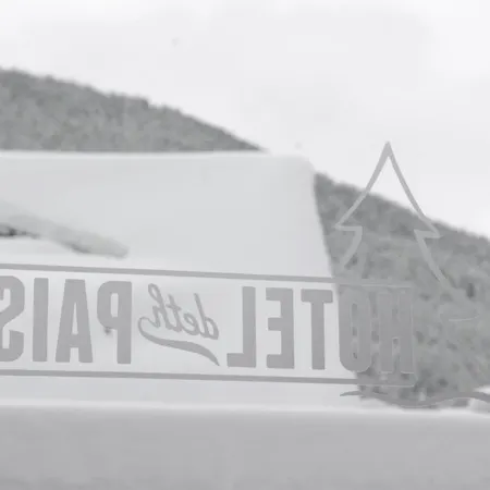 Hotel Deth Pais-2