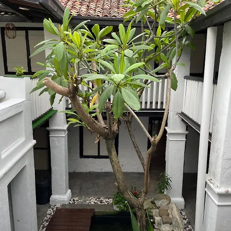 Layang Layang Guest House Melaka-3