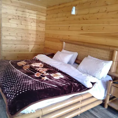 Swiss Wood Cottages Naran-2