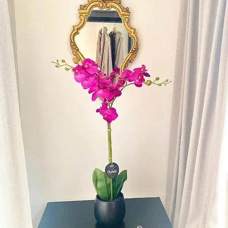 The Flower B&B-2