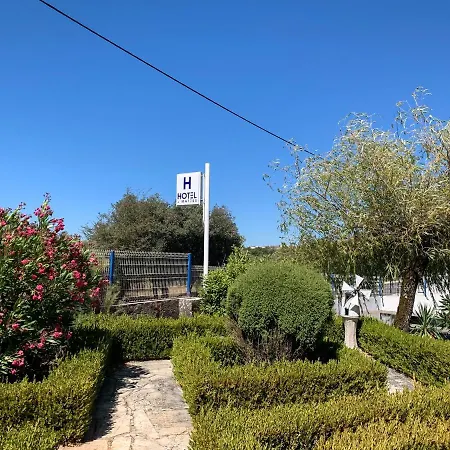 Hotel Mateus-3