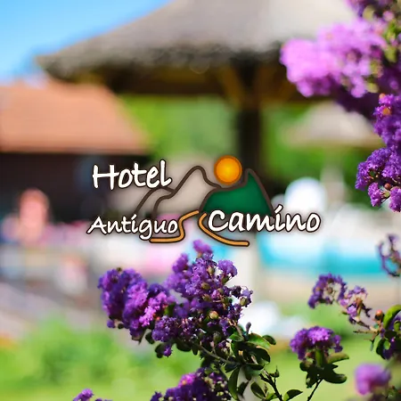 Hotel Antiguo Camino-3