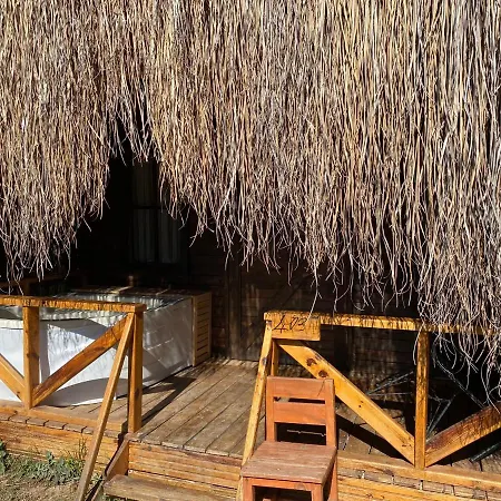 Green Pine Bungalows & Beach Luxury Concept-3