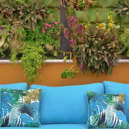 Bungalows Los Almendros - Exclusive Vacation Club-3