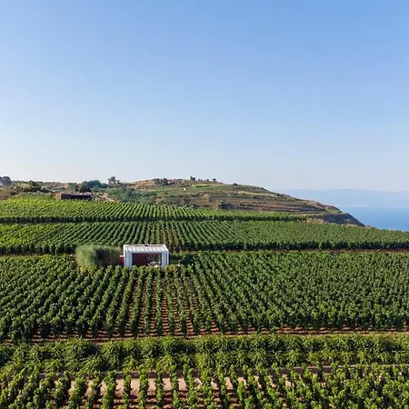 Tenuta Di Castellaro Winery & Resort-3