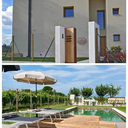 B&B Il Vigneto-2