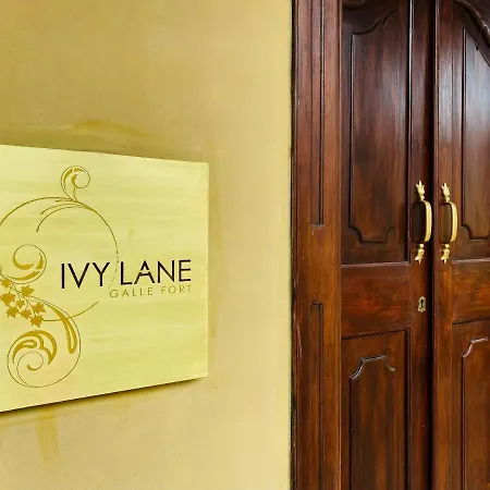Ivy Lane Galle Fort-2