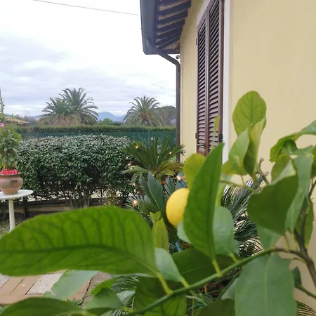 Il Gelsomino-2