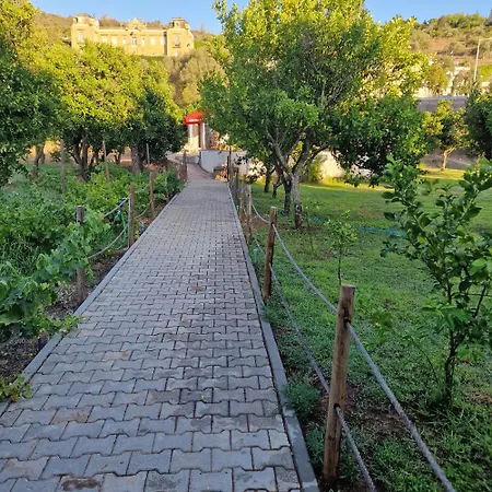 Ponte Romana-2