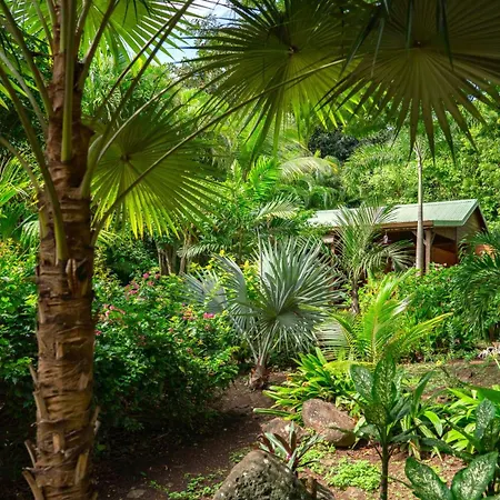 Au Jardin Des Colibris Ecolodge&Spa-2