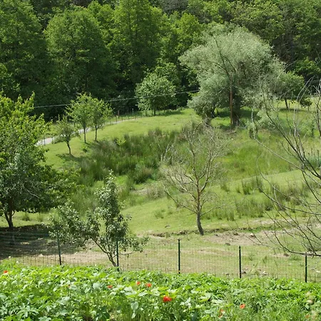 Affittacamere Graziella-2