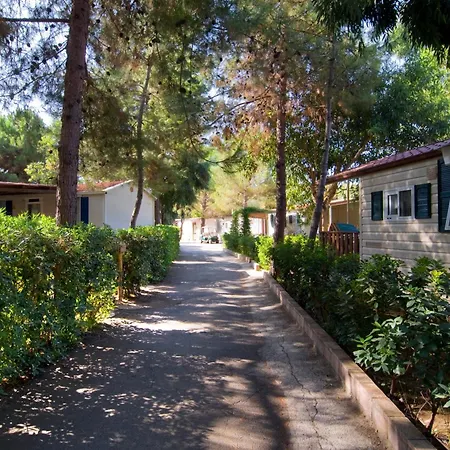 Villaggio Camping Odissea-3