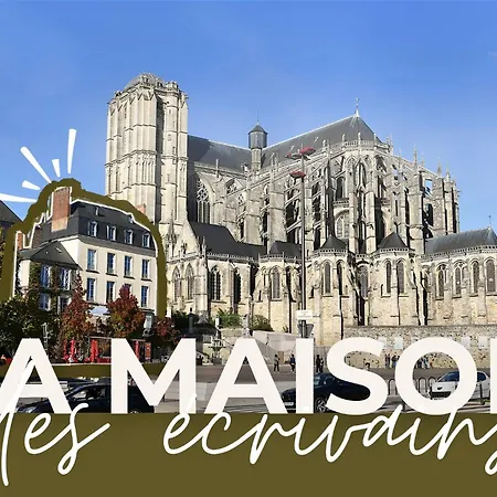 Chambres d'hôte - Maison des écrivains - 50 m de la cathédrale et place des jacobins-3