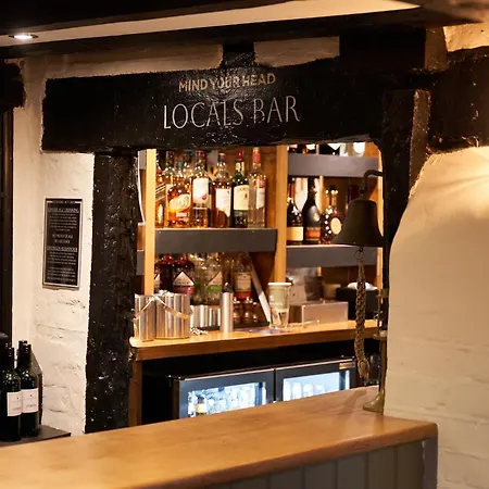 The Chestnut Horse-2