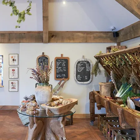 The Chestnut Horse-3