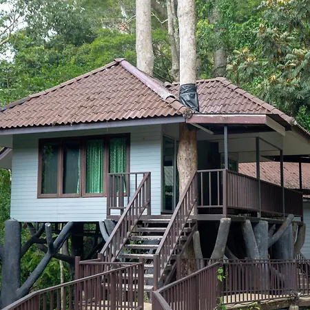 Rock And Tree House Resort-2