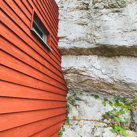La Grotte Dinant-3