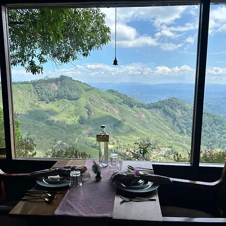 Blackberry Hills Munnar Nature Resort & Spa-3