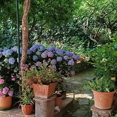 Villa dei fiori B&B-3
