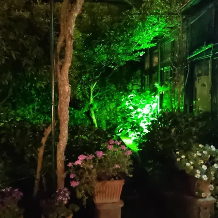 Villa dei fiori B&B-2