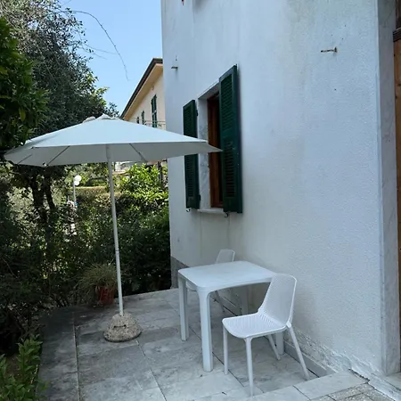 Il Delfino-3