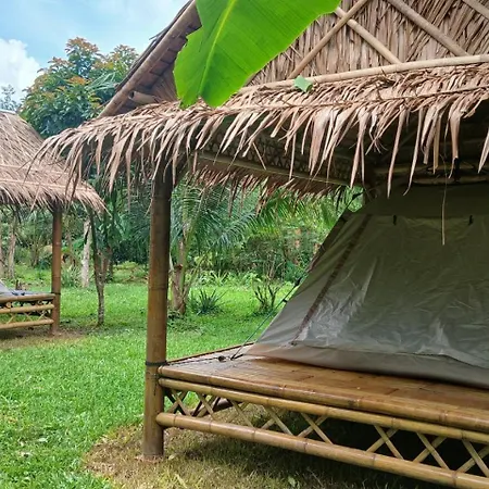 Bamboo House-3