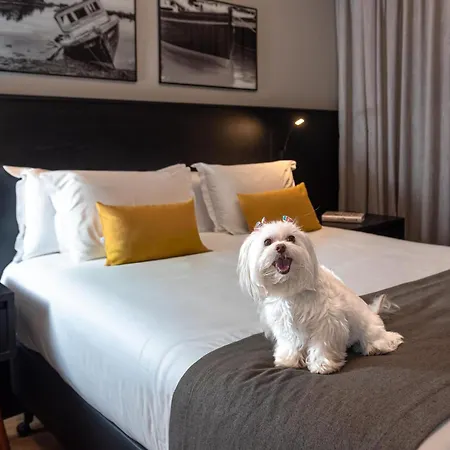 I am Design Hotel Campinas by Hotelaria Brasil-3
