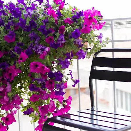 Relais Star Of Trastevere-3