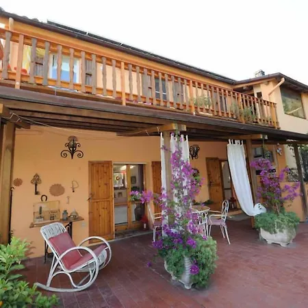 B&B Glicine-3