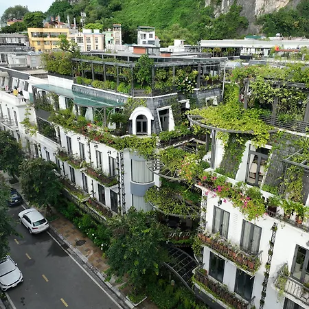 Paris Of Dragon Bay-3