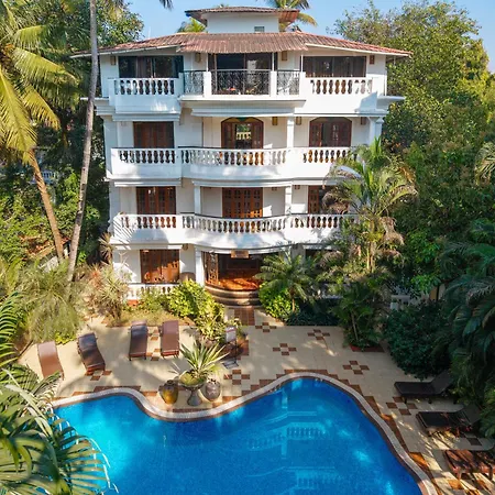 Olive Hotel Alidia Beach Resort By Embassy Group-2