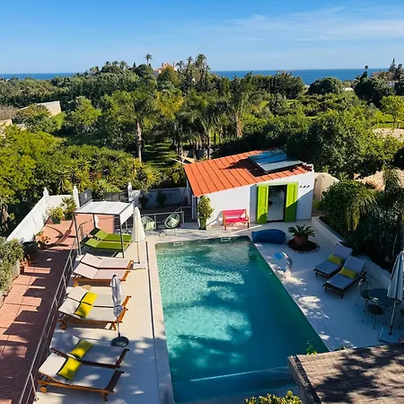 Palm View Guesthouse, Adults Only-3