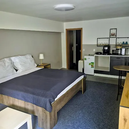 Family Hotel Maxim-2