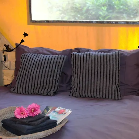 Chalet&Glamping Ons plekje in het bos-3