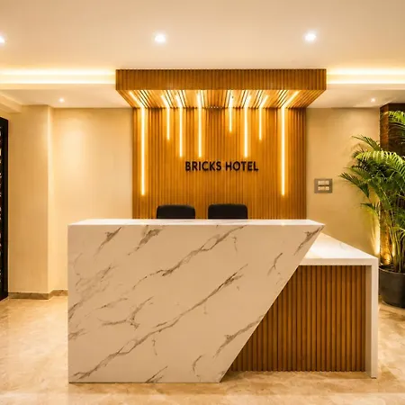 Hotel Bricks, Karol Bagh, New Delhi-2