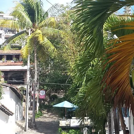 Casa Pancha Puerto Vallarta Centro - Adults Only-3