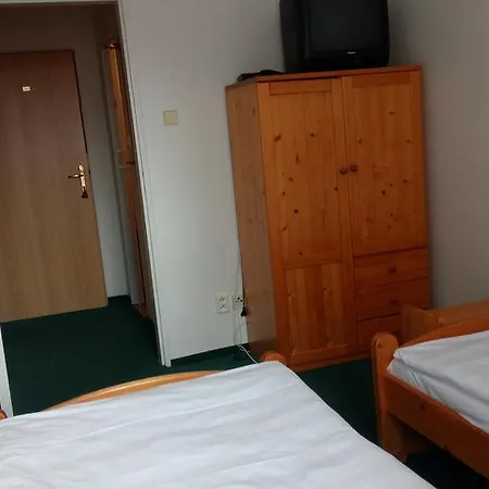 Hotel Bozi Dar - Excalibur-3