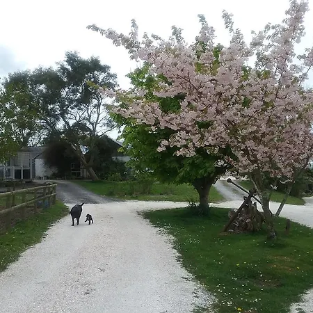 The Swallows Guest House-2
