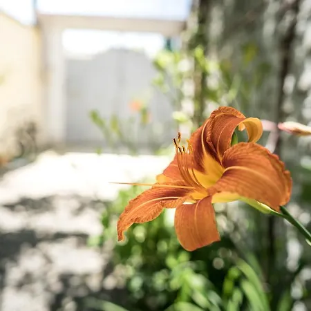 Eco Garten Guest House-3
