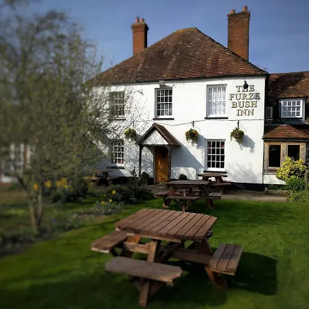The Furze Bush Inn-2