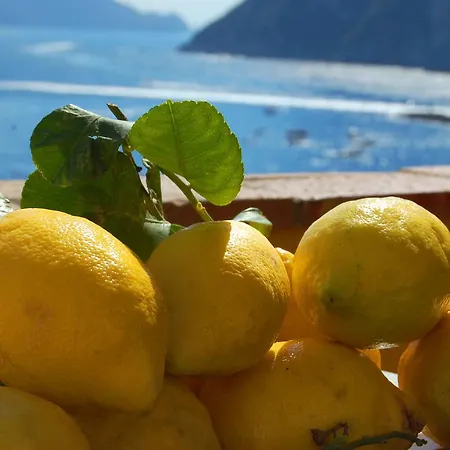 La Terrazza Sul Mare-2
