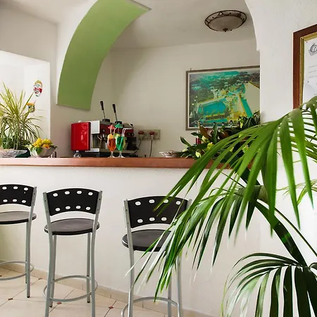 B&B Verde-2