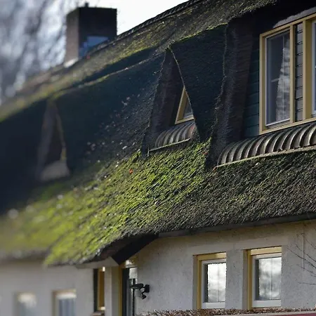 B&B-Hotel de Joremeinshoeve-2