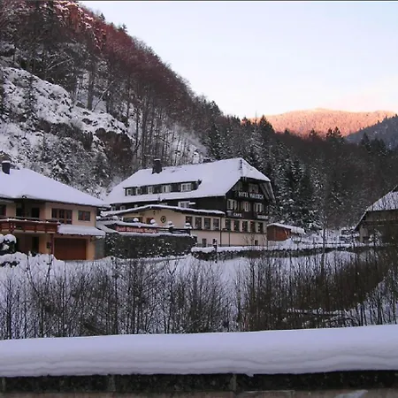 Hotel Waldeck in Todtnau-2