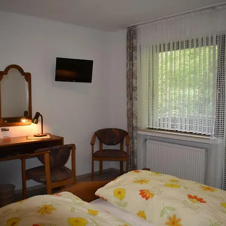 Pension Haus am Waldesrand-2