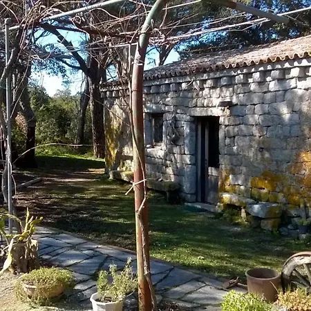 Agriturismo La Vigna-3
