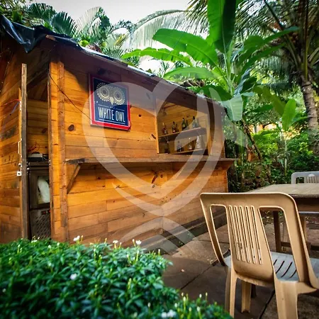 Zulu Land Cottages - Near Curlies Beach Shack And Shiva Valley - Anjuna Beach-3