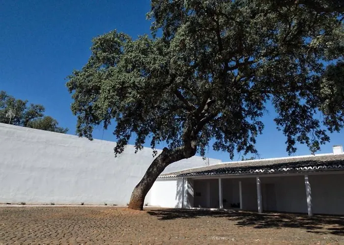Casa Del