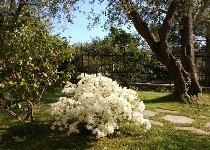 Goedkoop hotel: La Vie Est Belle